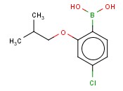4-氯-2-<span class='lighter'>异</span>丁<span class='lighter'>氧基</span><span class='lighter'>苯</span><span class='lighter'>硼酸</span>