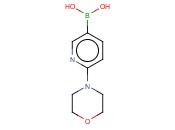 6-(4-<span class='lighter'>吗</span><span class='lighter'>啉</span><span class='lighter'>基</span>)-3-吡啶硼酸