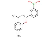 3-[(2'-Isopropyl-5'-methylphenoxy)methyl]phenylboronic acid