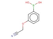 3-CYANOMETHOXYPHENYLBORONIC ACID