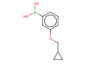 3-(CYCLOPROPYLMETHOXY)<span class='lighter'>PHENYLBORONIC</span> ACID