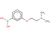 (3-[2-(DIMETHYLAMINO)ETHOXY]PHENYL)BORONIC ACID