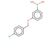 3-(4'-Chlorobenzyloxy)phenylboronic acid