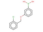 3-(2'-Chlorobenzyloxy)phenylboronic acid