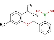 2-[(2-<span class='lighter'>异</span>丙基-5-甲基<span class='lighter'>苯</span><span class='lighter'>氧基</span>)甲基]<span class='lighter'>苯</span><span class='lighter'>硼酸</span>