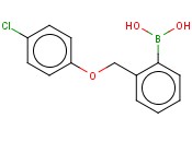 2-(4-氯苯氧基甲基)<span class='lighter'>苯</span><span class='lighter'>硼酸</span>
