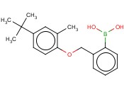 2-[(4'-tert-Butyl-2'-methylphenoxy)methyl]phenylboronic acid