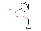 2-(CYCLOPROPYLMETHOXY)<span class='lighter'>PHENYLBORONIC</span> ACID