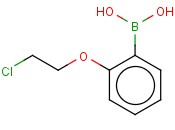2-(2-CHLOROETHOXY)PHENYLBORONIC ACID
