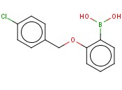 2-(4-CHLOROPHENYLMETHOXY)PHENYLBORONIC ACID