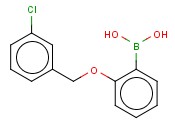 2-(3'-Chlorobenzyloxy)phenylboronic acid