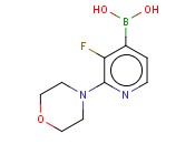 3-fluoro-2-morpholinopyridin-4-ylboronic acid