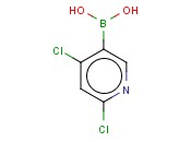 2,4-二氯吡啶-5-硼酸水合物