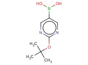 2-TERT-BUTOXYLPYRIMIDINE-5-BORONIC ACID