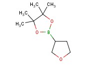 TETRAHYDROFURAN-3-BORONIC ACID PINACOL ESTER
