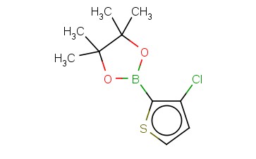 3-氯噻吩-2-<span class='lighter'>硼酸</span><span class='lighter'>频</span><span class='lighter'>哪</span><span class='lighter'>醇</span><span class='lighter'>酯</span>