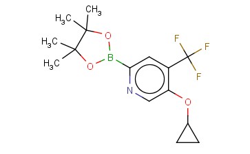 5-CYCLOPROPOXY-2-(4,4,5,5-TETRAMETHYL-1,3,2-DIOXABOROLAN-2-YL)-4-(TRIFLUOROMETHYL)PYRIDINE