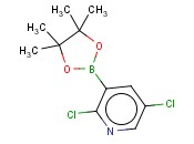 2,5-二氯吡啶-3-硼酸频哪酯