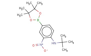 4-(N-t-丁基氨基)-3-<span class='lighter'>硝基苯</span><span class='lighter'>硼酸</span><span class='lighter'>频</span>那<span class='lighter'>醇</span><span class='lighter'>酯</span>