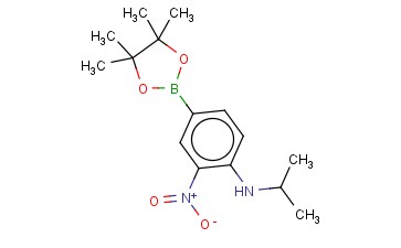 4-异丙基氨基-3-<span class='lighter'>硝基苯</span><span class='lighter'>硼酸</span><span class='lighter'>频</span>那<span class='lighter'>醇</span><span class='lighter'>酯</span>