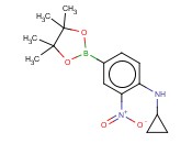 4-环丙基氨基-3-<span class='lighter'>硝基苯</span><span class='lighter'>硼酸</span><span class='lighter'>频</span>那<span class='lighter'>醇</span><span class='lighter'>酯</span>