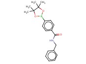 4-(苯甲基氨酰基)<span class='lighter'>苯</span><span class='lighter'>硼酸</span><span class='lighter'>频</span><span class='lighter'>哪</span><span class='lighter'>酯</span>,97%
