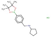 4-(N-CYCLOPENTYLAMINOMETHYL)PHENYLBORONIC ACID, PINACOL ESTER, HCL