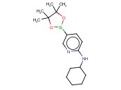 6-(环己氨基)吡啶-3-<span class='lighter'>硼酸</span><span class='lighter'>频</span><span class='lighter'>哪</span><span class='lighter'>醇</span><span class='lighter'>酯</span>