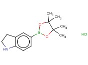 5-(TETRAMETHYL-1,3,2-DIOXABOROLAN-2-YL)-2,3-DIHYDRO-1H-INDOLE, HCL