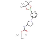 TERT-BUTYL N-[1-[3-(4,4,5,5-TETRAMETHYL-1,3,2-DIOXABOROLAN-2-YL)PHENYL]PYRROLIDIN-3-YL]CARBAMATE