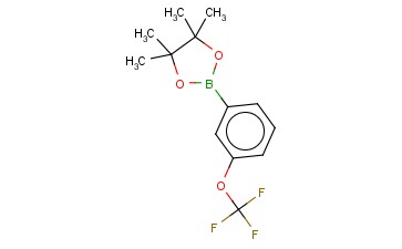 3-(三氟甲氧基)<span class='lighter'>苯</span><span class='lighter'>硼酸</span><span class='lighter'>频</span><span class='lighter'>哪</span><span class='lighter'>醇</span><span class='lighter'>酯</span>