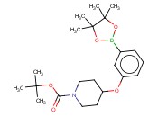 TERT-BUTYL 4-[3-(4,4,5,5-TETRAMETHYL-1,3,2-DIOXABOROLAN-2-YL)PHENOXY]PIPERIDINE-1-CARBOXYLATE