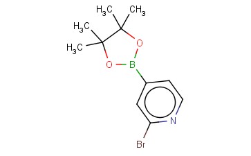 2-溴吡啶-4-<span class='lighter'>硼酸</span><span class='lighter'>频</span><span class='lighter'>哪</span><span class='lighter'>醇</span><span class='lighter'>酯</span>