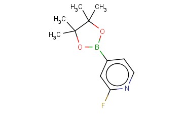 2-氟吡啶-4-<span class='lighter'>硼酸</span><span class='lighter'>频</span><span class='lighter'>哪</span><span class='lighter'>醇</span><span class='lighter'>酯</span>