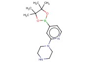 2-(1-哌啶基)吡啶-4-<span class='lighter'>硼酸</span><span class='lighter'>频</span><span class='lighter'>哪</span><span class='lighter'>醇</span><span class='lighter'>酯</span>