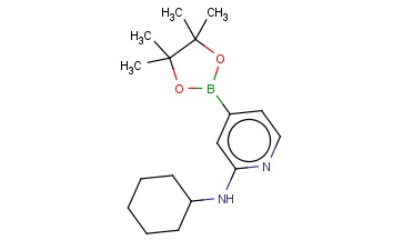 N-CYCLOHEXYL-4-(4,4,5,5-TETRAMETHYL-1,3,2-DIOXABOROLAN-2-YL)PYRIDIN-2-AMINE