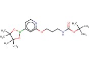 TERT-BUTYL 3-(4-(4,4,5,5-TETRAMETHYL-1,3,2-DIOXABOROLAN-2-YL)PYRIDIN-2-YLOXY)PROPYLCARBAMATE