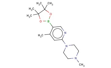 1-METHYL-4-[4-METHYL-5-(4,4,5,5-TETRAMETHYL-1,3,2-DIOXABOROLAN-2-YL)PYRIDIN-2-YL]PIPERAZINE