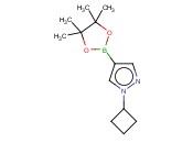 N-<span class='lighter'>环</span><span class='lighter'>丙基</span>-吡唑-4-频哪醇二<span class='lighter'>硼酸</span>酯