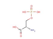 O-PHOSPHO-L-SERINE, [SERINE-1-14C]