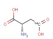 ASPARTIC ACID <span class='lighter'>L-</span>[4-14C]