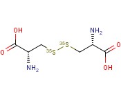CYSTINE <span class='lighter'>L-</span>[35S]