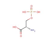 O-Phospho-L-serine