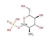 GLUCOSAMINE, D-1-PHOSPHATE [1-14C]
