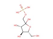D-FRUCTOSE-1-PHOSPHATE