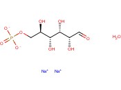 <span class='lighter'>GLUCOSE-6-PHOSPHATE</span> <span class='lighter'>DISODIUM</span> SALT <span class='lighter'>MONOHYDRATE</span>