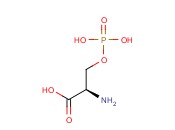 O-磷酸-D-<span class='lighter'>丝氨酸</span>