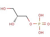 <span class='lighter'>PHOSPHATIDIC</span> ACID