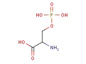 O-Phospho-DL-serine
