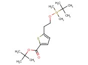 tert-butyl 5-(2-((tert-butyldimethylsilyl)oxy)ethyl)thiophene-2-carboxylate